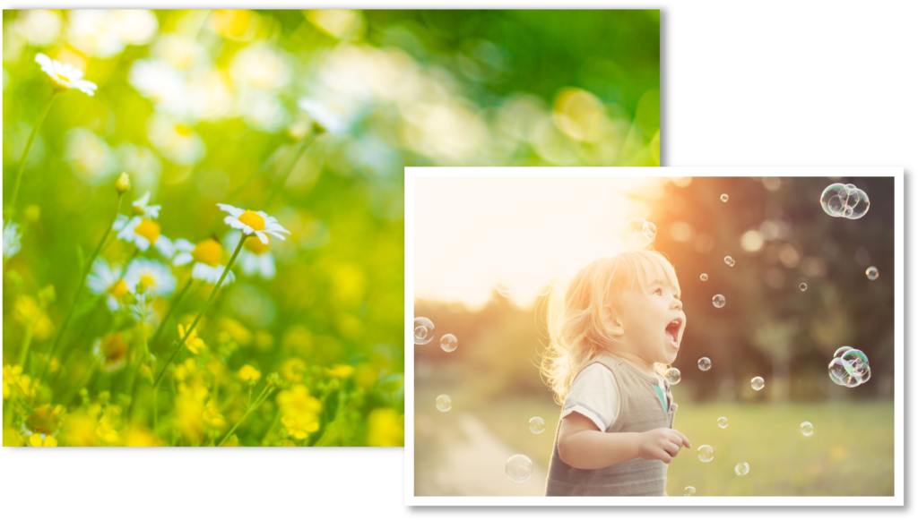 フチあり・フチなしの写真プリントイメージ